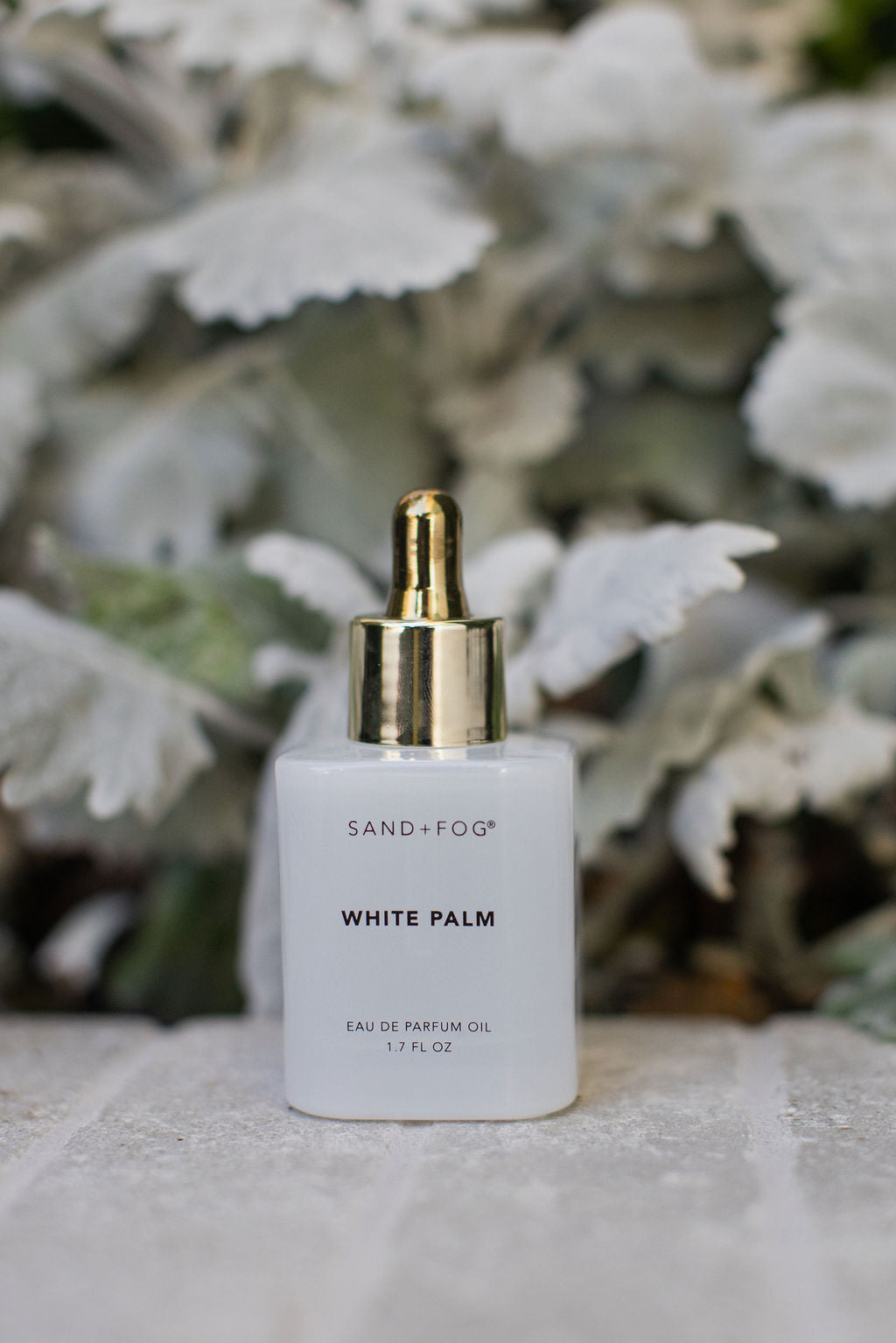 Alluring White Palm 50 ml Perfume Oil Dropper