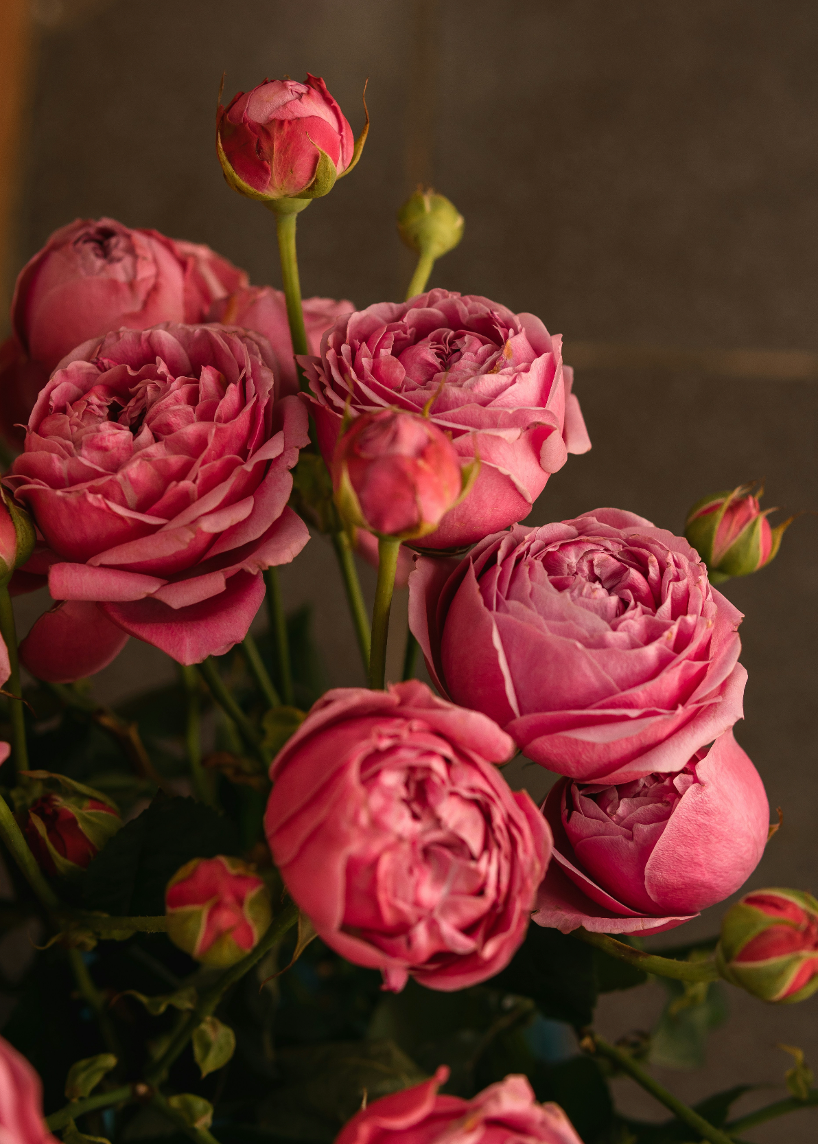 Alluring Rose & Peony 50 ml Perfume Oil Dropper