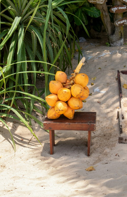 Alluring Coconut Blossom 50 ml Perfume Oil Dropper