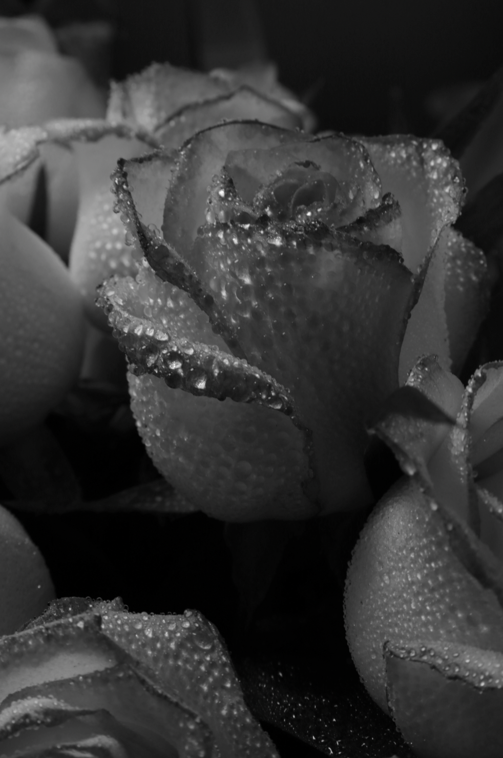 Alluring Rose Dew 50ml Perfume Oil Dropper